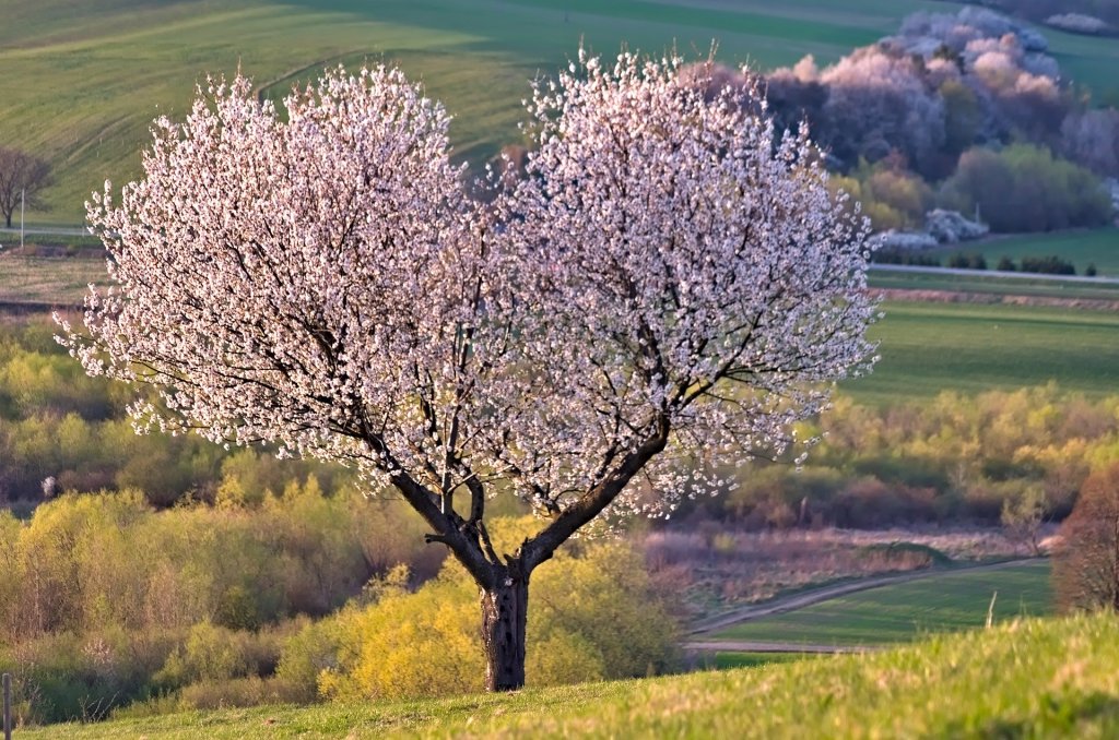 Przesilenie letnie (20.06.2020) i nów&nbsp;Księżyca