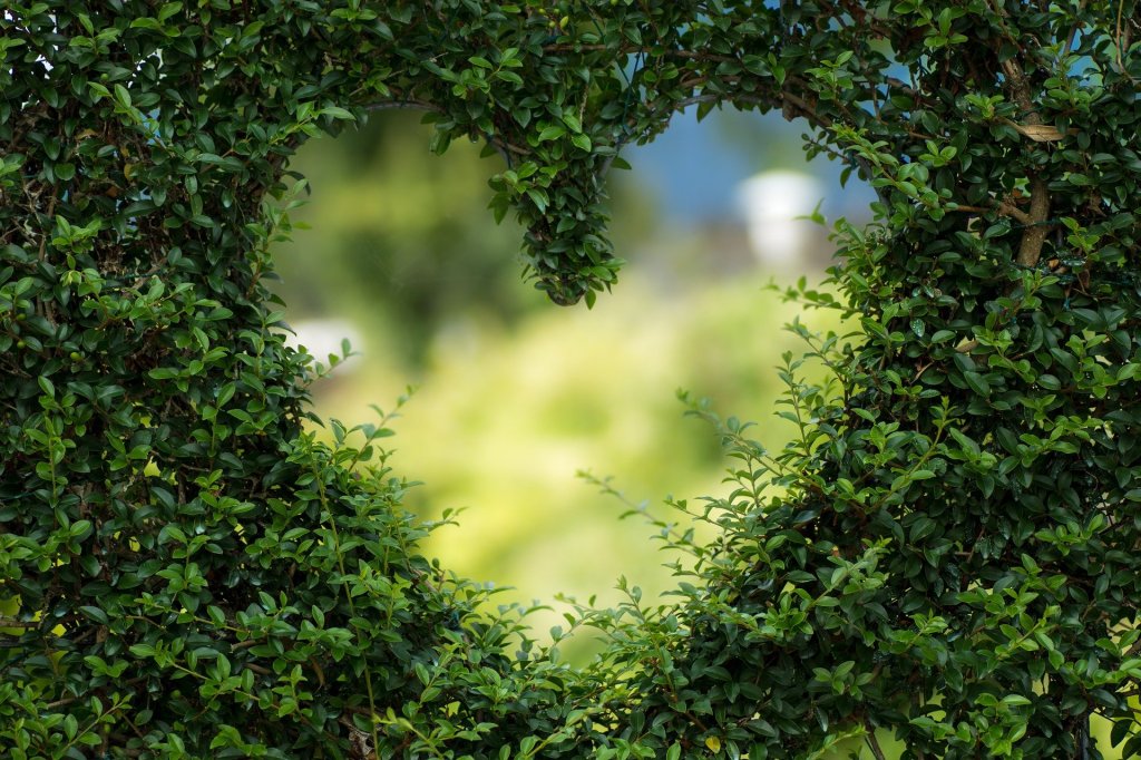 Wyjątkowy anielski (nie)horoskop na kwiecień&nbsp;2022